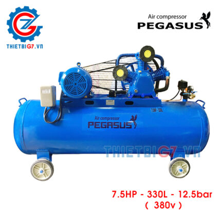 pegasus-75hp-330l-125bar-380v-1